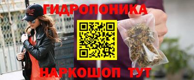альфа пвп Новокубанск