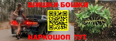 альфа пвп Новокубанск