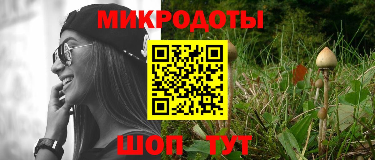 Псилоцибиновые грибы мицелий Элиста